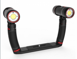 large SL691 SEALIFE 1